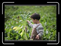 IMG_3949 * 850 x 608 * (229KB)