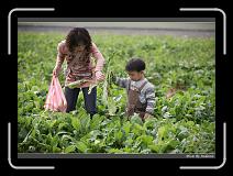 IMG_3950 * 850 x 608 * (242KB)