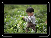 IMG_3953 * 850 x 608 * (245KB)