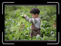 IMG_3954 * 850 x 608 * (238KB)