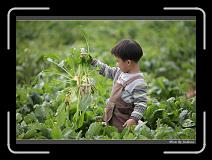 IMG_3955 * 850 x 608 * (240KB)