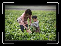 IMG_3956 * 850 x 608 * (247KB)