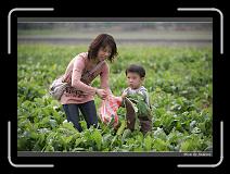 IMG_3958 * 850 x 608 * (236KB)