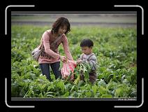 IMG_3959 * 850 x 608 * (242KB)
