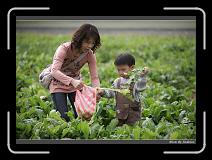 IMG_3960 * 850 x 608 * (234KB)