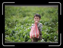 IMG_3963 * 850 x 608 * (226KB)
