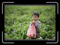 IMG_3964 * 850 x 608 * (228KB)