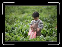 IMG_3965 * 850 x 608 * (246KB)
