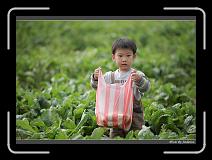 IMG_3967 * 850 x 608 * (233KB)