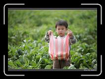 IMG_3968 * 850 x 608 * (227KB)