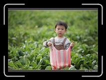 IMG_3969 * 850 x 608 * (222KB)