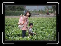 IMG_3973 * 850 x 608 * (242KB)