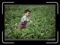IMG_3974 * 850 x 608 * (249KB)