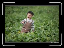 IMG_3975 * 850 x 608 * (221KB)