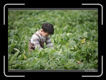 IMG_3976 * 850 x 608 * (234KB)