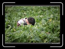 IMG_3977 * 850 x 608 * (234KB)