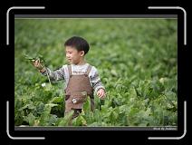 IMG_3979 * 850 x 608 * (225KB)