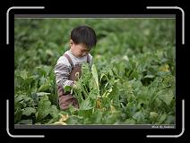 IMG_3981 * 850 x 608 * (232KB)