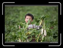 IMG_3982 * 850 x 608 * (226KB)