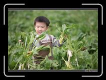 IMG_3983 * 850 x 608 * (228KB)