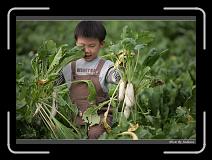 IMG_3985 * 850 x 608 * (239KB)