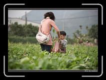 IMG_3989 * 850 x 608 * (235KB)