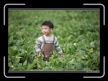 IMG_3990 * 850 x 608 * (227KB)