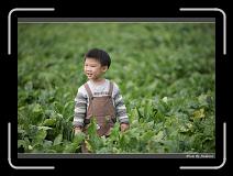 IMG_3991 * 850 x 608 * (218KB)