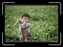 IMG_3992 * 850 x 608 * (226KB)