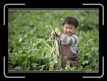 IMG_3993 * 850 x 608 * (244KB)