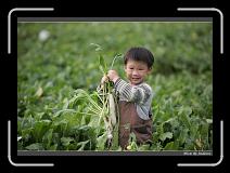 IMG_3994 * 850 x 608 * (230KB)