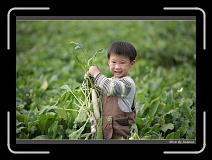 IMG_3995 * 850 x 608 * (228KB)