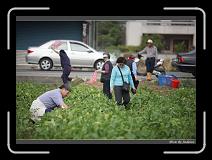 IMG_3996 * 850 x 608 * (238KB)