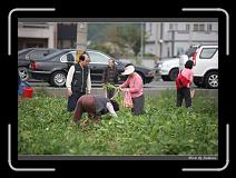 IMG_3997 * 850 x 608 * (229KB)