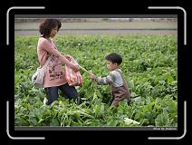 IMG_4002 * 850 x 608 * (242KB)