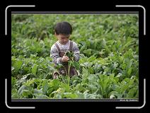 IMG_4006 * 850 x 608 * (240KB)