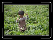 IMG_4007 * 850 x 608 * (240KB)