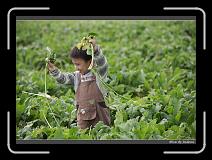 IMG_4008 * 850 x 608 * (240KB)