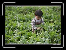 IMG_4009 * 850 x 608 * (245KB)