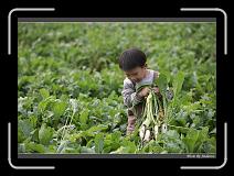 IMG_4010 * 850 x 608 * (241KB)