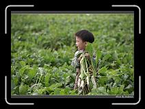 IMG_4011 * 850 x 608 * (249KB)
