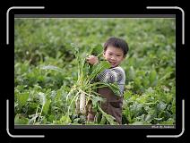 IMG_4012 * 850 x 608 * (250KB)