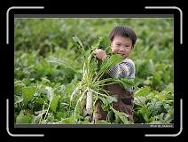 IMG_4013 * 850 x 608 * (239KB)