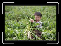 IMG_4014 * 850 x 608 * (249KB)