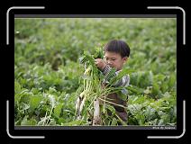 IMG_4015 * 850 x 608 * (244KB)