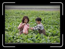 IMG_4016 * 850 x 608 * (239KB)