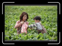 IMG_4017 * 850 x 608 * (239KB)