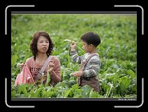 IMG_4019 * 850 x 608 * (234KB)