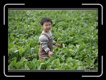 IMG_4021 * 850 x 608 * (238KB)