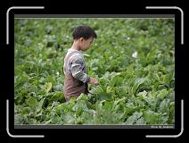 IMG_4022 * 850 x 608 * (232KB)